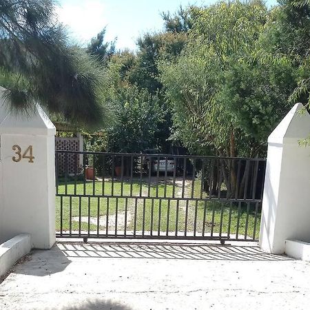 Апартаменти 34 Steyn Street, Баррідейл Екстер'єр фото